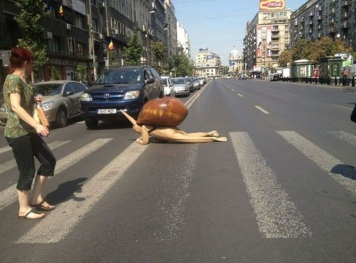 Приколы
