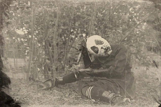 7.