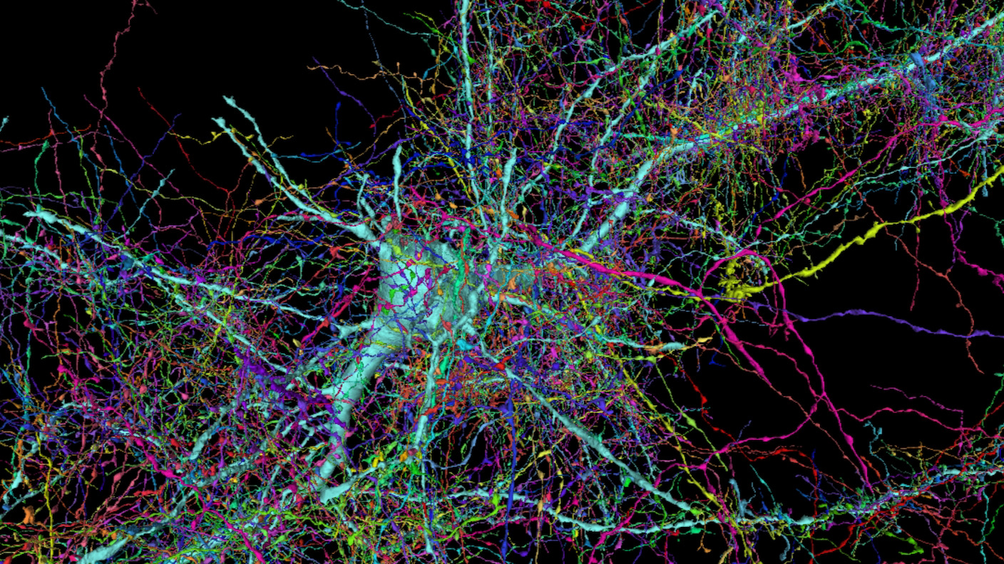 Google And Harvard Unveil Most Detailed Map Of The Human Brain Yet