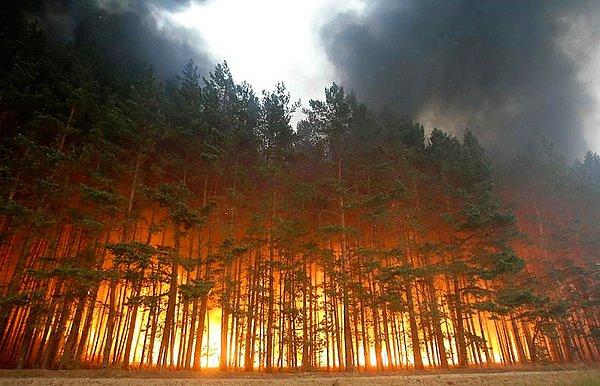 3. Orman yangını – Dolginino, Rusya (Ağustos 2010)