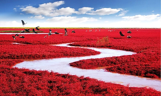 Красный Берег, Китай