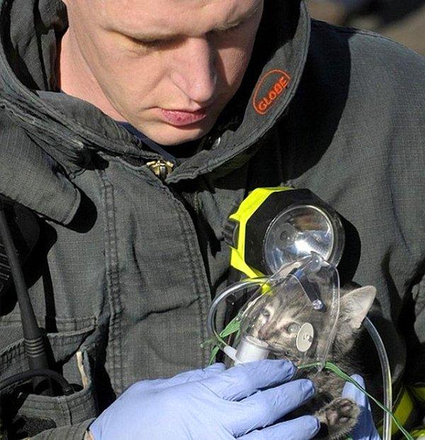 8. Yangından kurtarılan yavru kediye oksijen maskesi takan itfayeci.