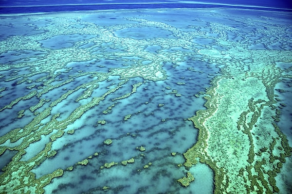 Avustralya Çevre Bakanı, tarihin en sıkı denetimlerini uygulayacaklarını ve kesinlikle Resif'e zarar gelmeyeceğini söylüyor