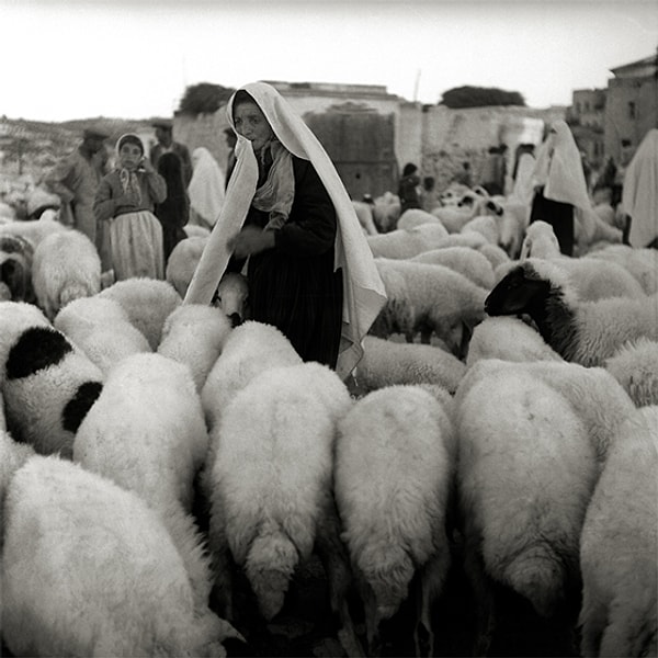 Zamansız Fotoğraflar sergisi, Yıldız Moran