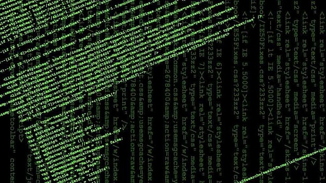 2. Web Geliştiricisi