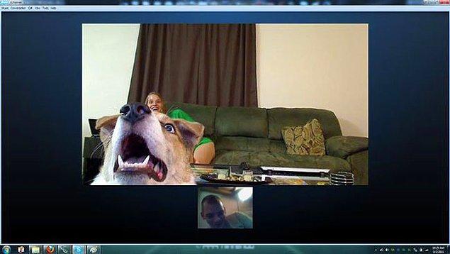 5. Bu köpek uzun süre sonra sahibiyle ilk kez Skype'dan görüştüğü için mutlu