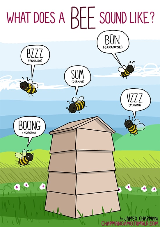 Yaşadıkları Yerlere Göre Sesleri Değişen 17 Hayvan