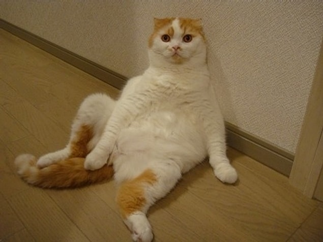 17.