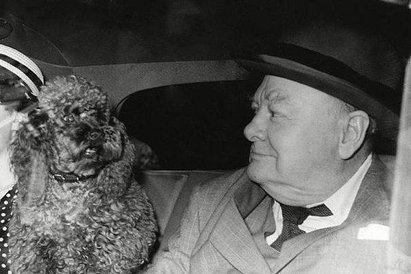 19. Winston Churchill ile onun arkadaşlarından biri olan Rufus