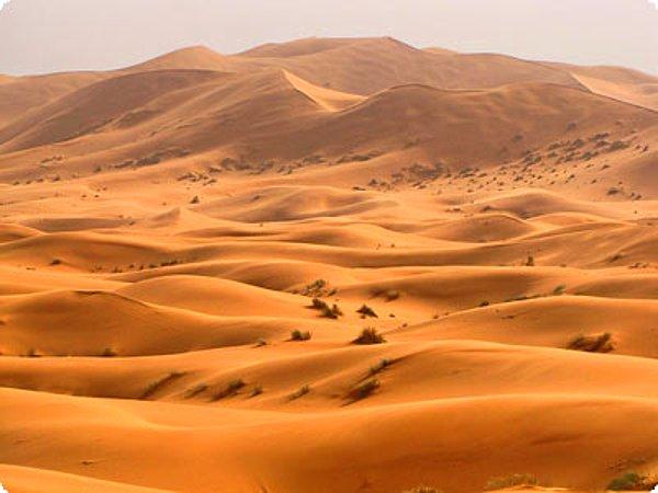 Sahara Çölü, Kuzey Afrika'da yaklaşık 8 milyon 600 bin kilometre kare alan kaplar ve bu onu dünyanın en büyük sıcak çölü yapar.