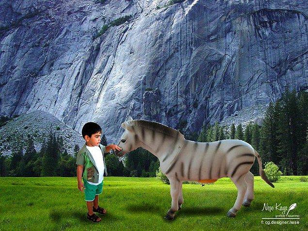 Çocuk ve Oyuncak Zebrası