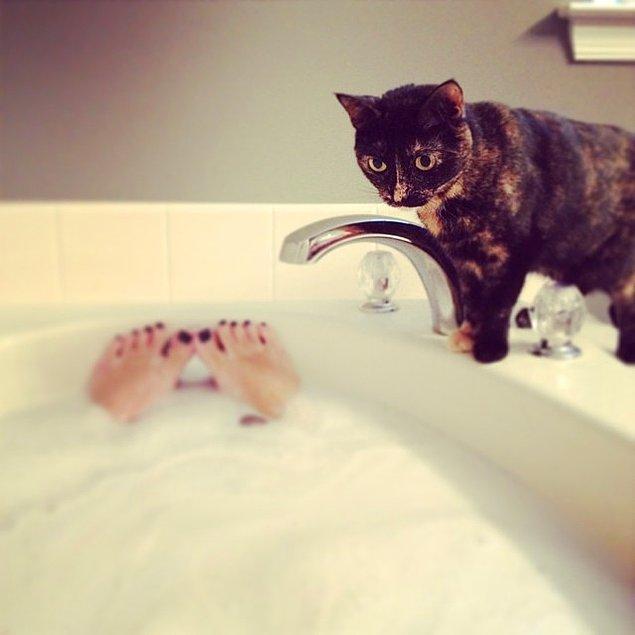 Kedi sonrası "ben de atlim mi?" banyosu.