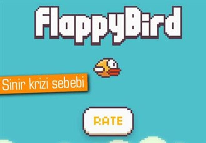 Türkleri çileden çıkaran kuş, FlappyBird!