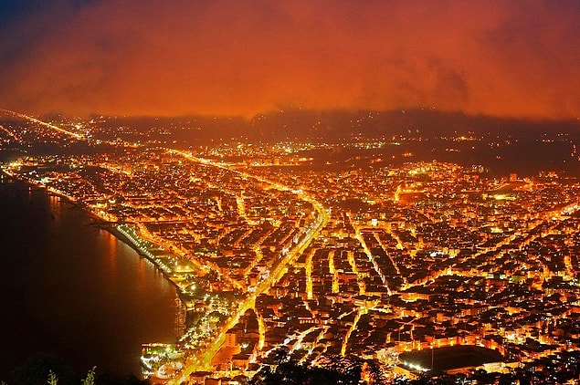 52 Ordu