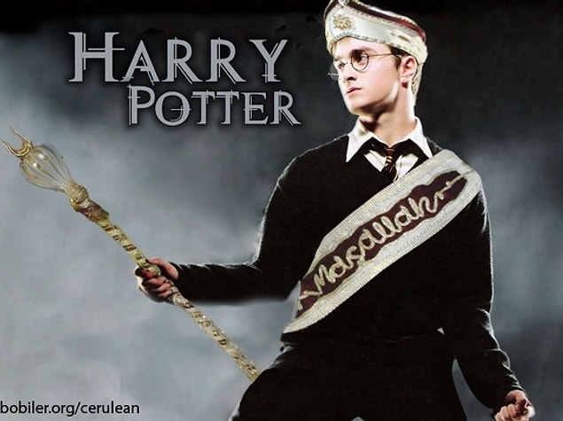 5. Harry Potter