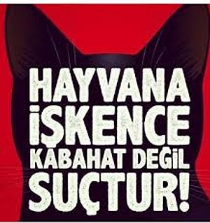 G&B Taçyıldız Yazar Profil Resmi