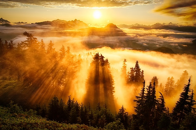 16. Washington, ABD