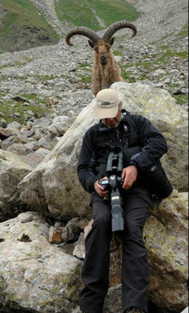 1. Bu vahşi yaşam fotoğrafçısı