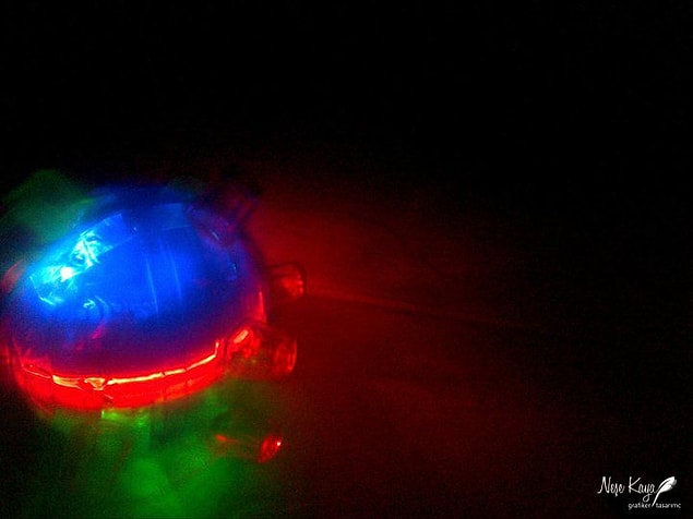 Ufo Gören Köylü Gibiyim!