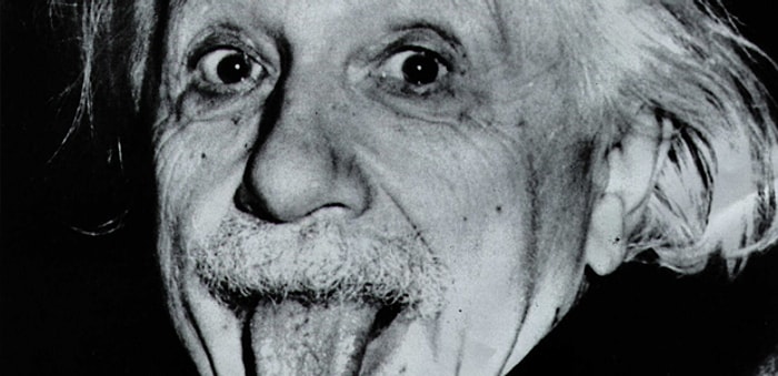 Einstein ve Şöförü