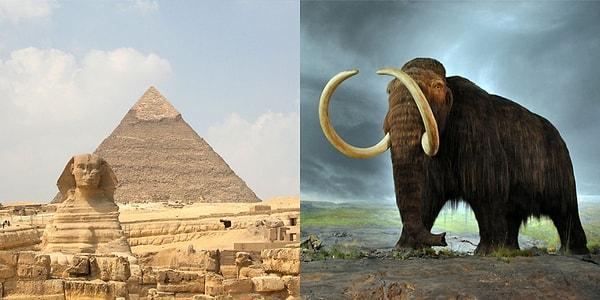 7. İlk Piramitler yapıldığı zaman Mamutlar hala dünya üzerindeydi