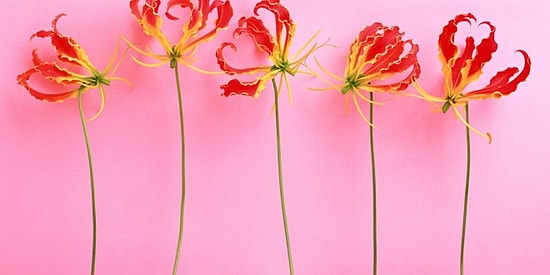 Eski Sevgiliyi Unutmak İçin Neler Yapılabilir?