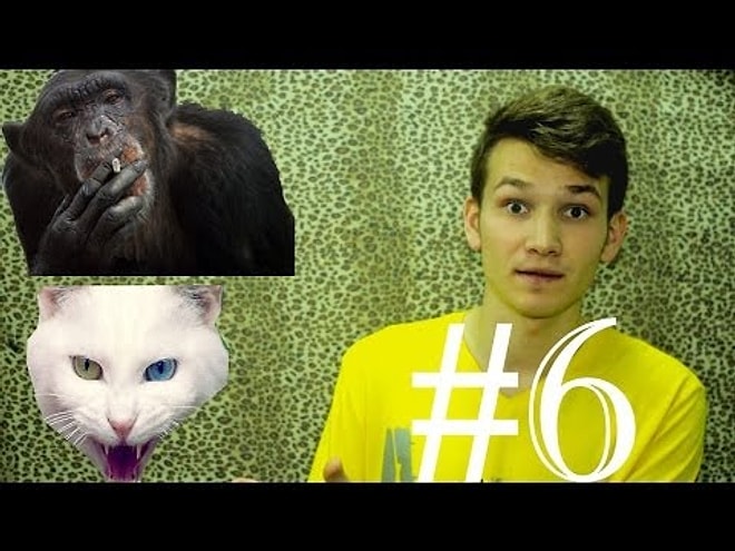 Çılgın People- Maymun ve Kedi aşkı #6