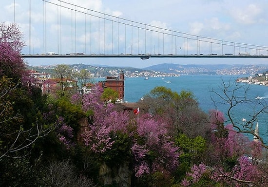 İstanbul'u Daha İyi Hissetmenizi Sağlayacak 22 Koku