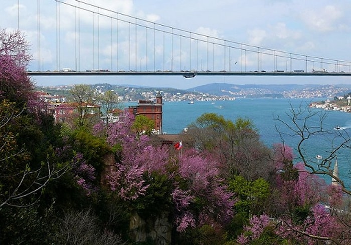 İstanbul'u Daha İyi Hissetmenizi Sağlayacak 22 Koku