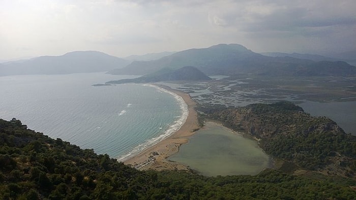 İztuzu’nda ‘Bağırtı Çağırtı’ Zaferi