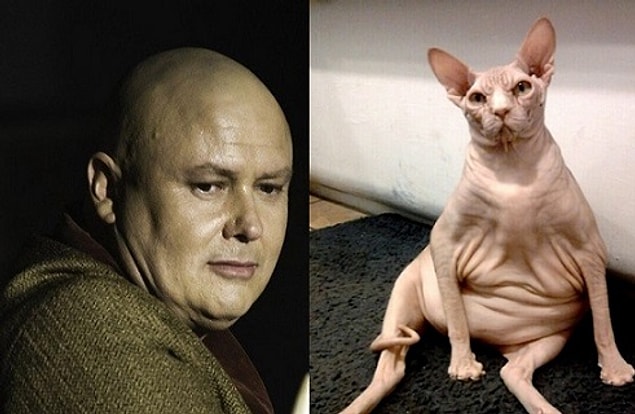 Lord Varys
