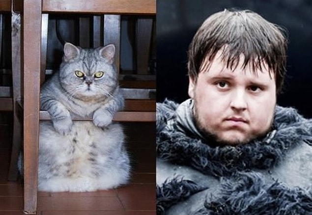 Samwell Tarly