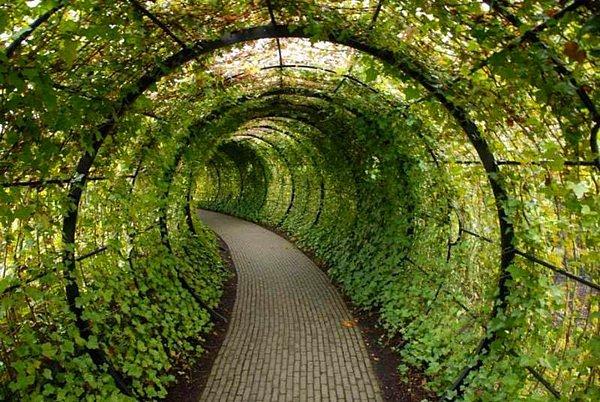 20. Alnwick Bahçesi, Northumberland, İngiltere