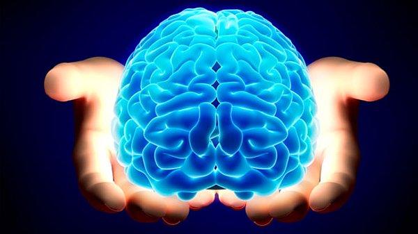 4. Bilim adamları ortalama 24 yaşından sonra ''beyin hızının'' yavaşlamaya başladığını gördü.