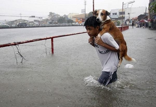 6. Filipinler'deki Haiyan Tayfunu sırasında bir köpeği kurtaran genç.