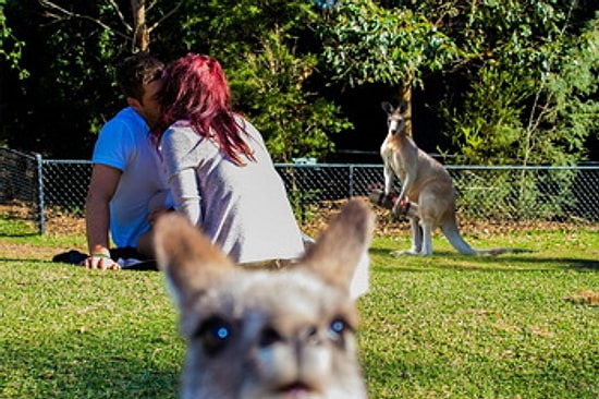Yalnızlıkta Nirvana'ya Ulaşmışlara Özel 21 Komik Yalnızlık Gifi