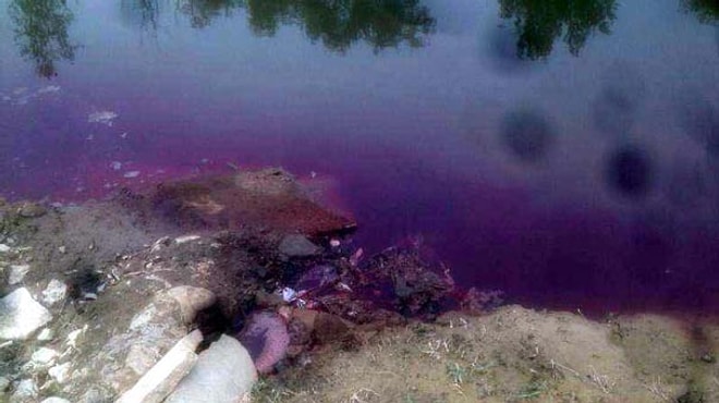 'Sakarya Nehri'ne Kan Akıltıldı' İddiası