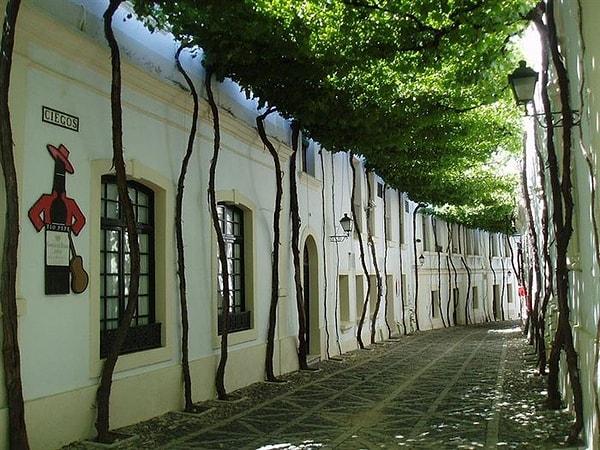 Jerez Sokağı, İspanya