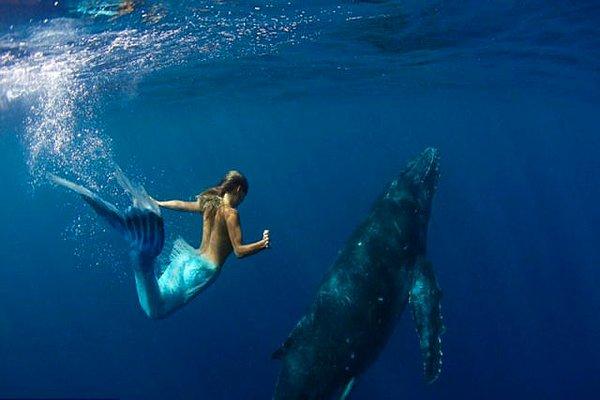 5. Hannah denizlerin korunmasını desteklemek ve balinaların öldürülmesini protesto etmek için bir kambur balina ile yüzüyor