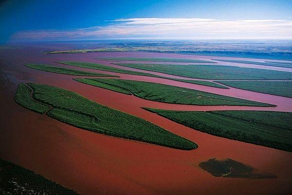 64. Nehir Deltası, Madagaskar