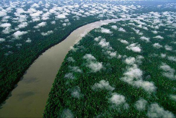 120. Orinoco Nehri, Amazon Yağmur Ormanları, Venezuela