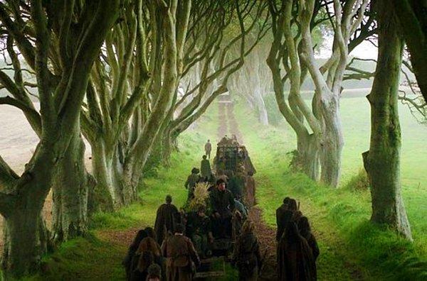 The Dark Hedges, Kuzey İrlanda