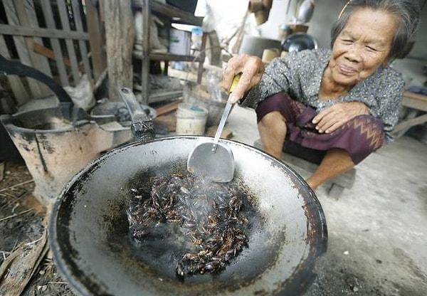 2. Taylandlı kadın aşçılar cırcır böceği pişirirken