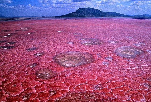 23. Natron Gölü, Tanzanya: 2.5 milyon flamingonun beslenme ve üreme bölgesi olan zengin mineralli sıcak sularla beslenen bir tuz gölüdür.
