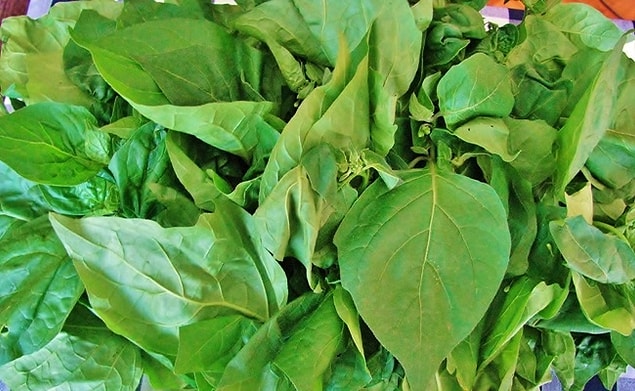 2. Bambul