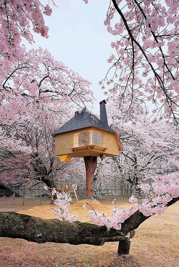 15. Çay evi, Japonya