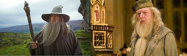 5. Gandalf & Dumbledore