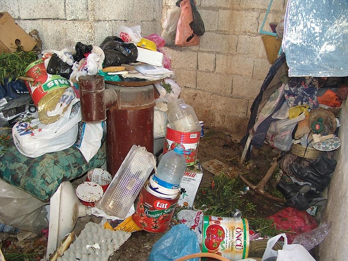 Türkiye'de Karşılabileceğiniz 10 Çevre Sorunu