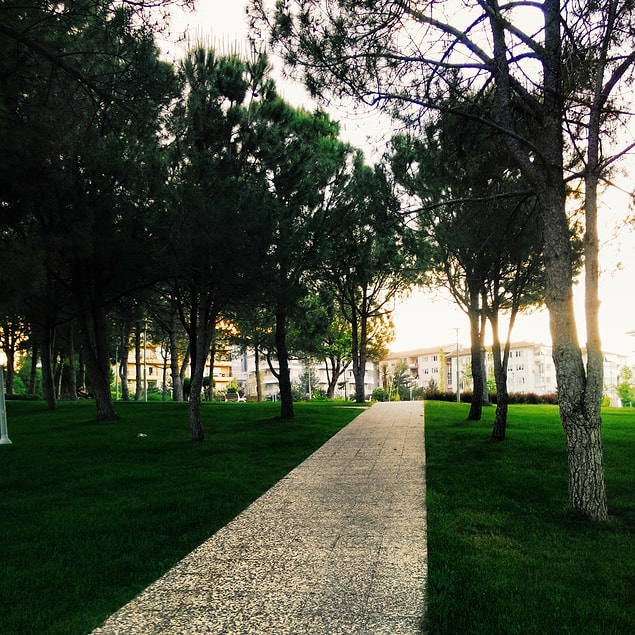 33) Açıkhava Tiyatrosu'ndan Tekin Akmansoy Parkı