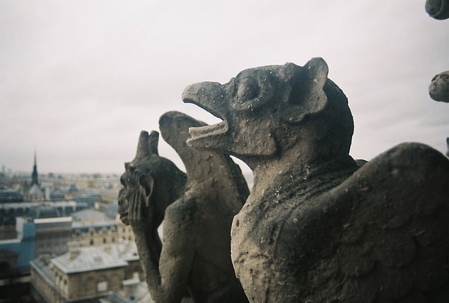 7. Notre Dame'ı anlamak